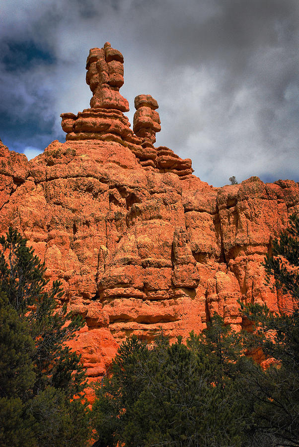 Red Canyon Photograph by Barbara Manis