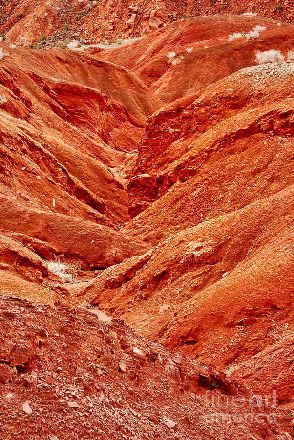 Red Canyon Photograph by Les Palenik