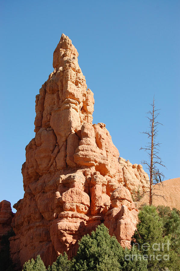 Red Canyon Rock Formation Photograph by Debra Thompson