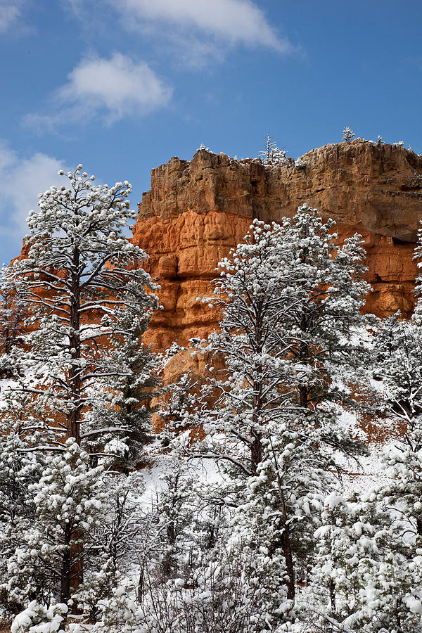 Red Canyon State Park Photograph by Greg Dimijian
