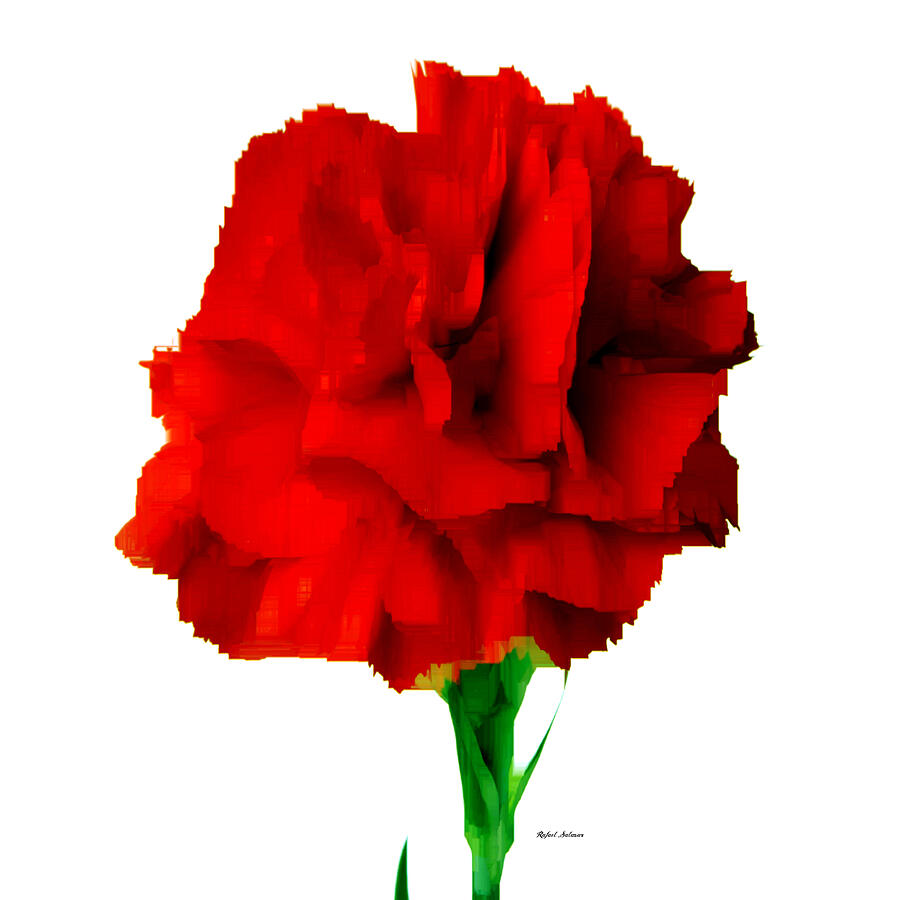 Red Carnation Digital Art by Rafael Salazar