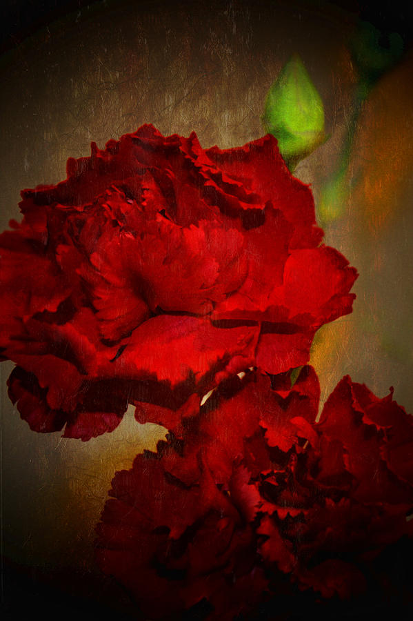 Red Carnations  Photograph by Susan McMenamin