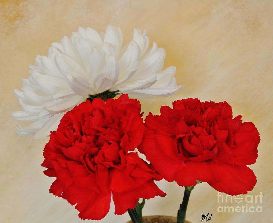 Red Carnations with White Mum Photograph by Marsha Heiken