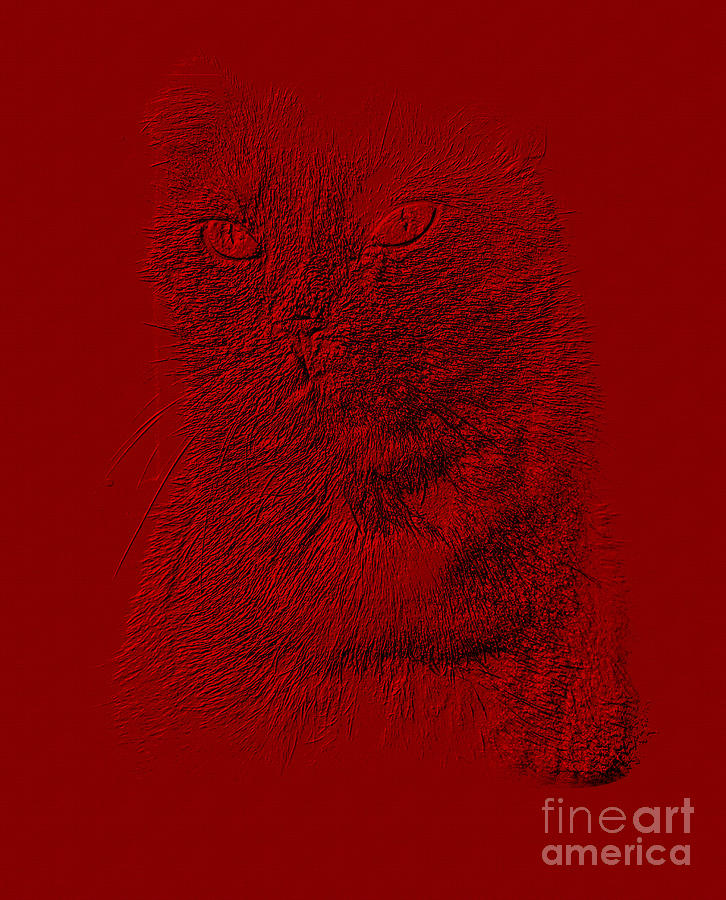 Red Cat Collection. SPECIAL... Photograph by Oksana Semenchenko