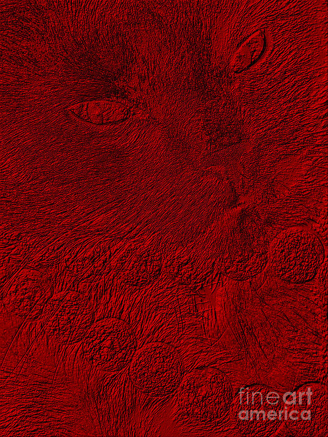 Red Cat Digital Art by Oksana Semenchenko
