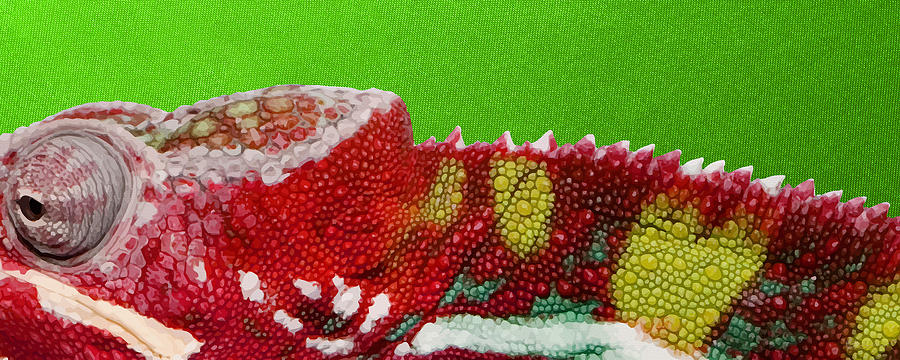 Red Chameleon on Green Digital Art by Serge Averbukh