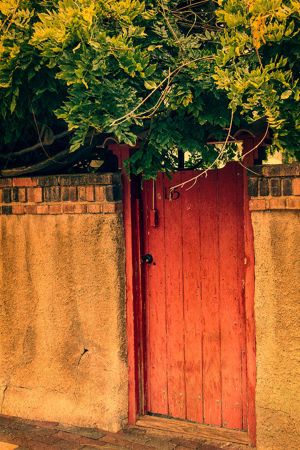 Red Chili Adobe Door Photograph by Steven Bateson