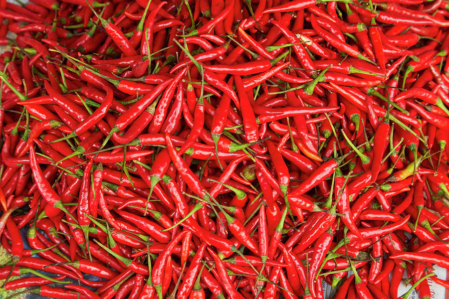 Vegetable Photograph - Red Chili, Dong Ba Market, Hue, Thua by David Wall