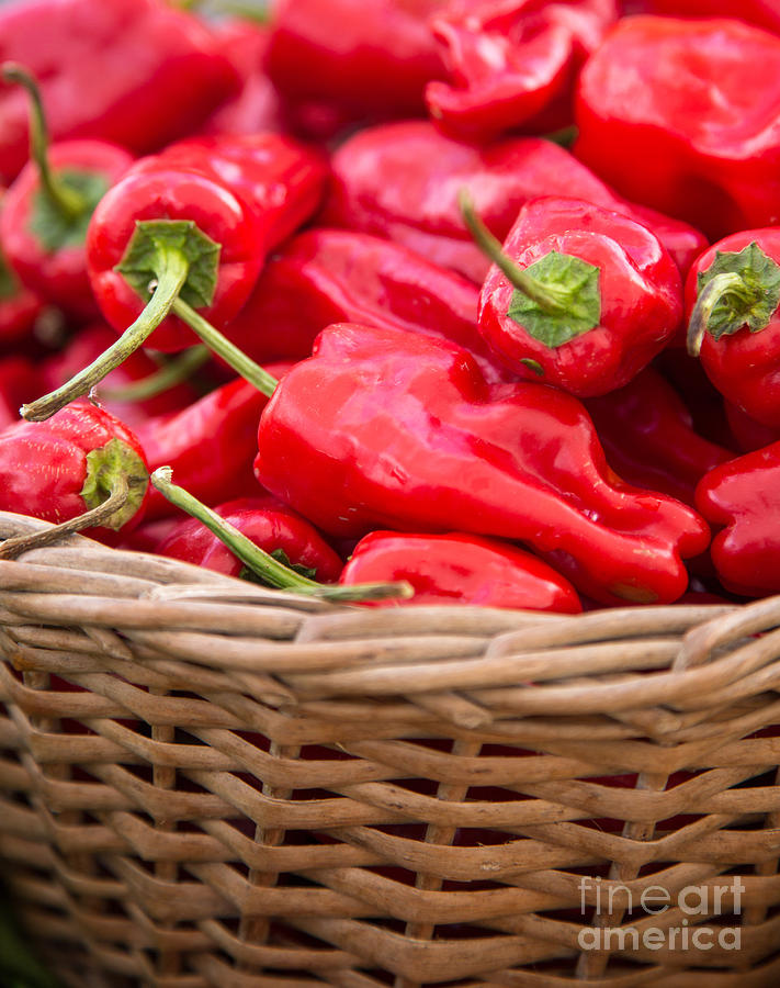 Red Chilis in basket Photograph by Rebecca Cozart