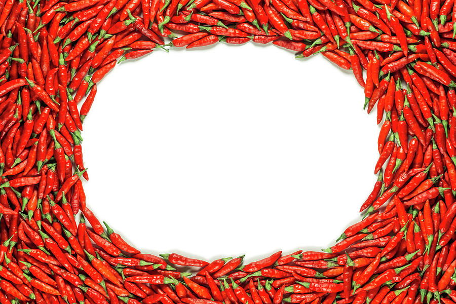 Red Chilli Peppers And Blank Space Photograph by Ktsdesign/science Photo Library