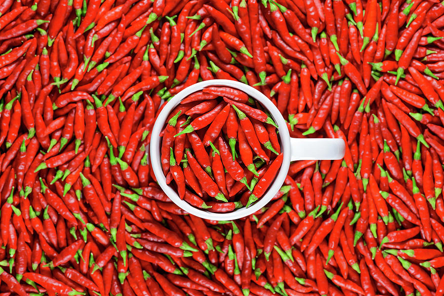 Red Chilli Peppers And White Mug Photograph by Ktsdesign/science Photo Library
