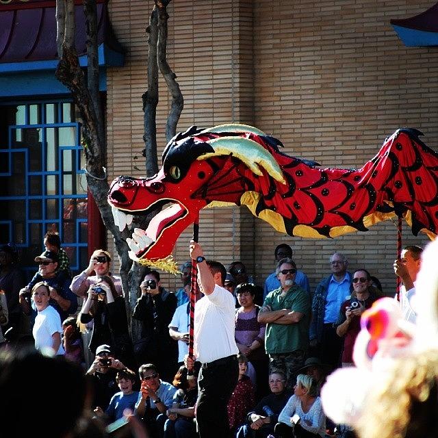 Red Chinese Dragon Photograph by Camera Hacker