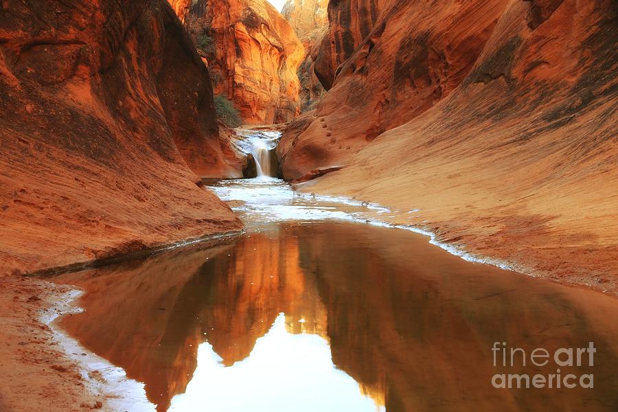 Red Cliffs Symphony Photograph by Roxie Crouch