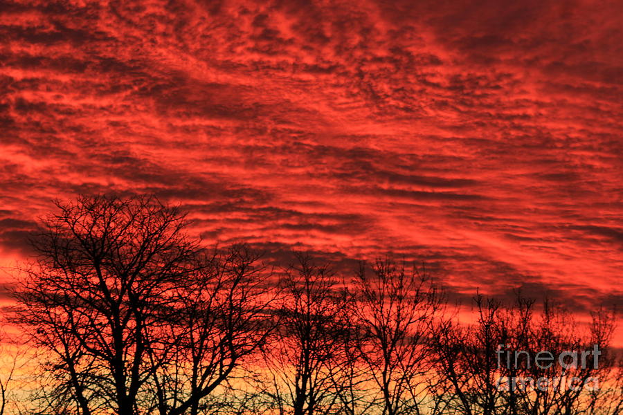 Sunset Photograph - Red Clouds in the morning by Four Hands Art