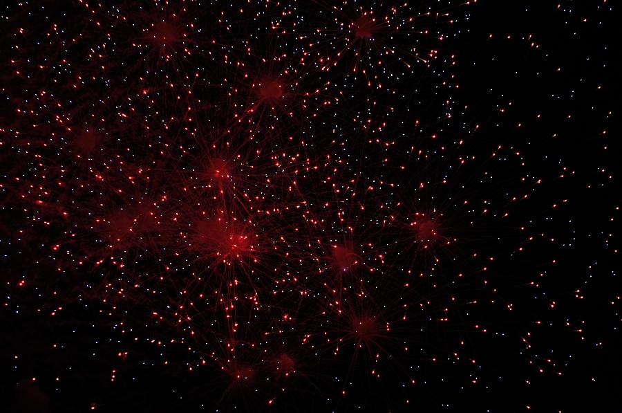 Red Cluster Photograph by Jose Diogo - Fine Art America