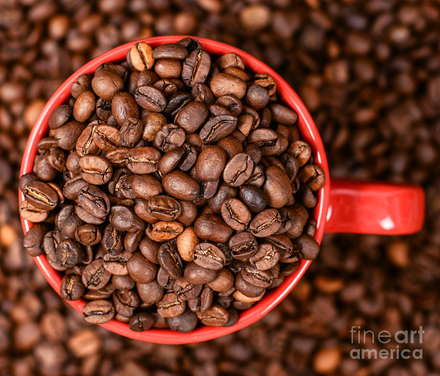 red-cup-of-coffee-on-coffee-beans-background-aleksandar-mijatovic.jpg
