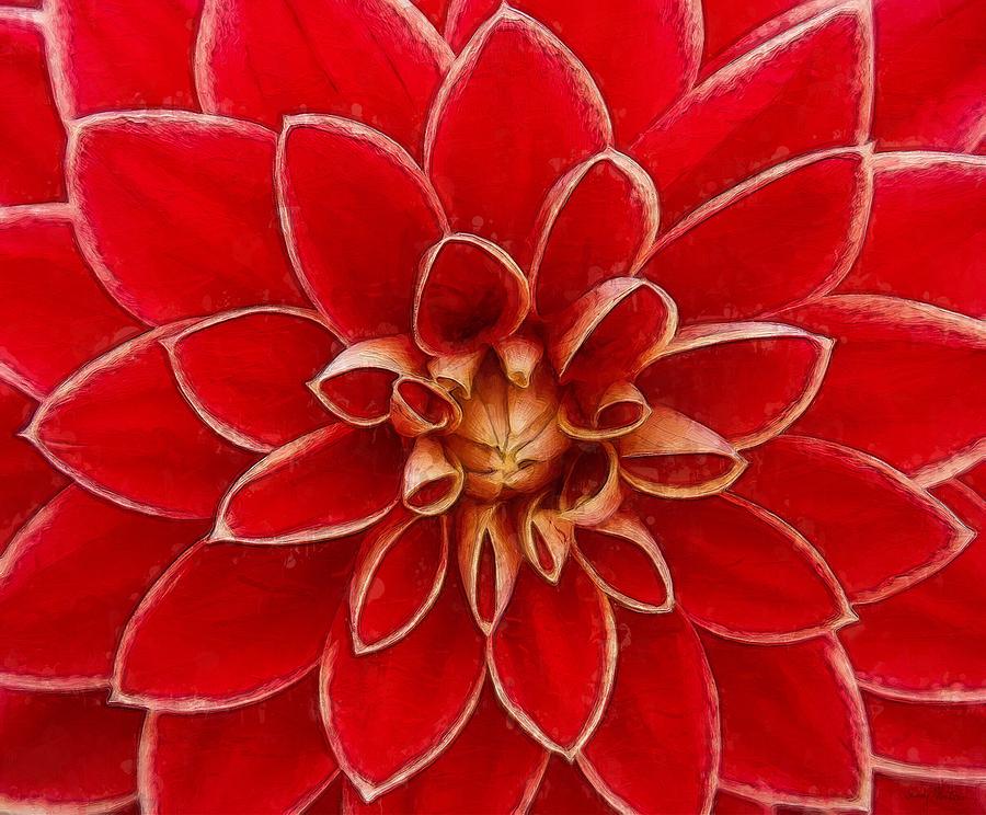 Flower Painting - Red Dahlia by Sandy MacGowan