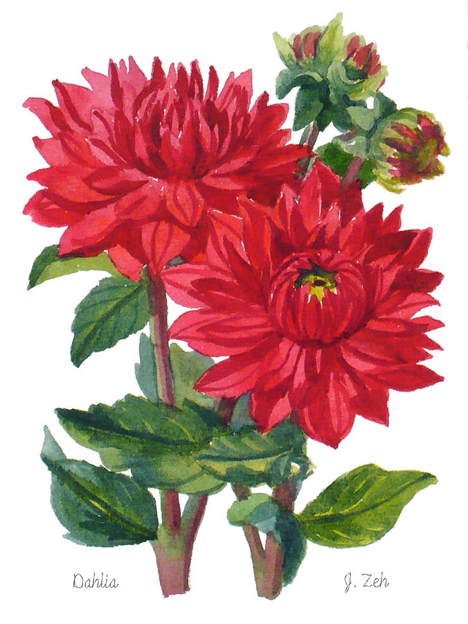 Red Dahlias Painting by Janet Zeh