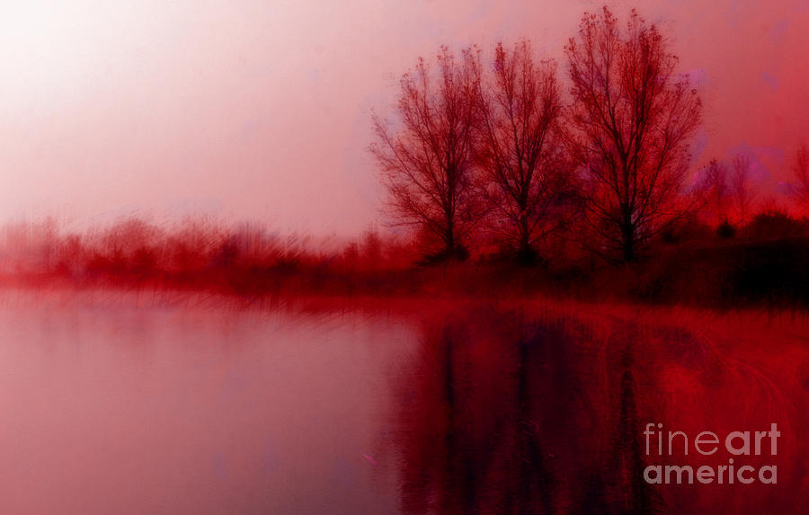 Red Dawn Photograph by Julie Lueders 