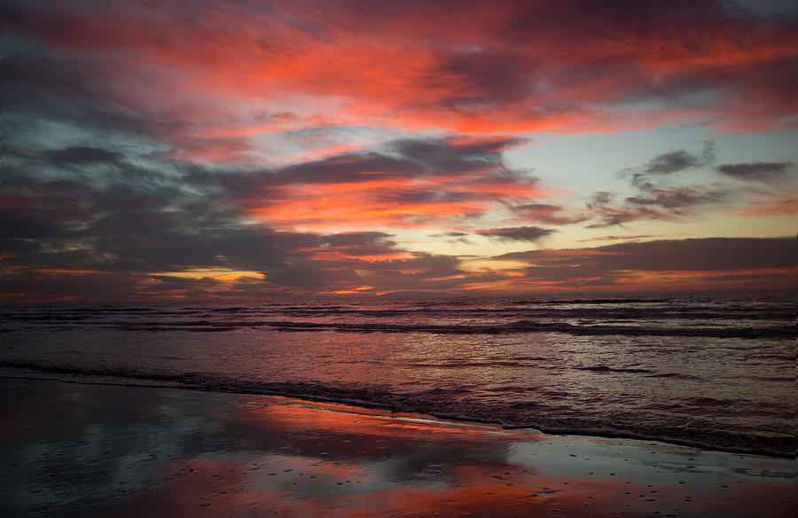 Red Dawn Photograph by Sharon Jones
