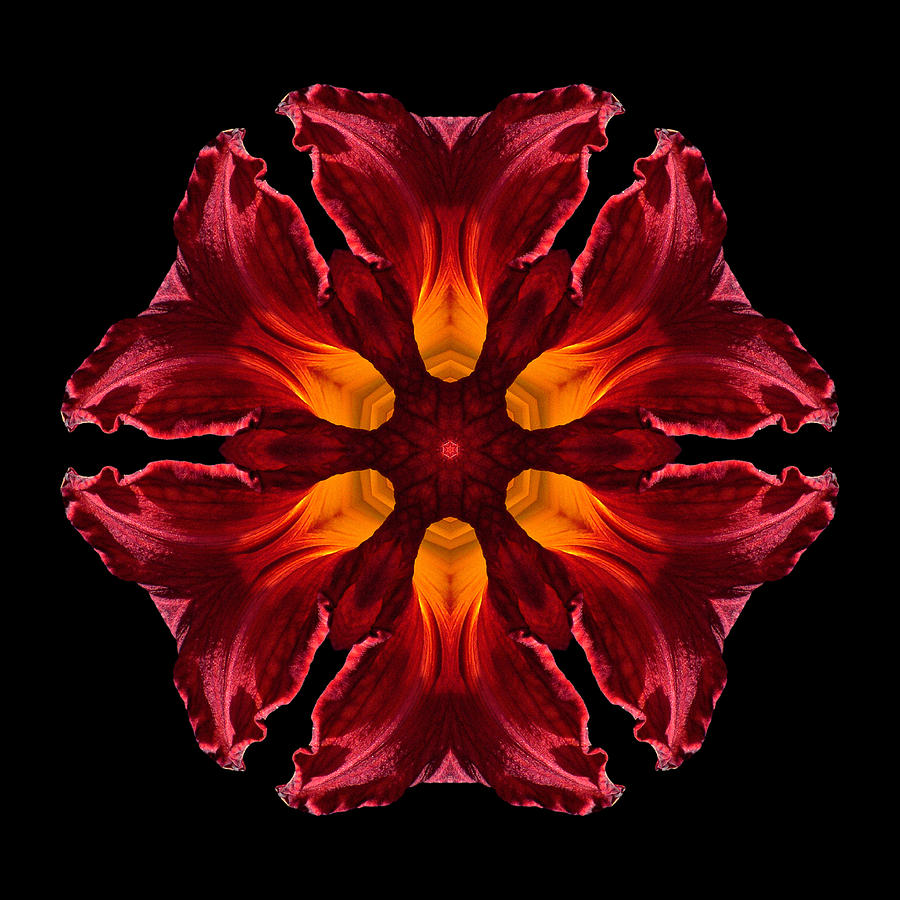 Red Daylily II Flower Mandala Photograph by David J Bookbinder