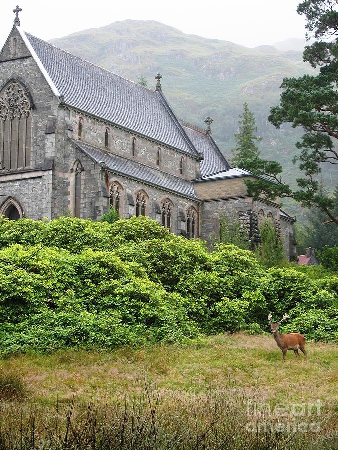 Red Deer And Church Photograph by Denise Railey