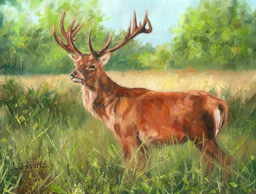 Red Deer Painting by David Stribbling