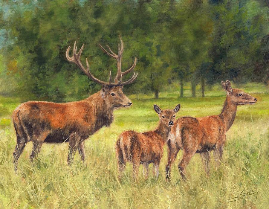 Deer Painting - Red Deer Family by David Stribbling