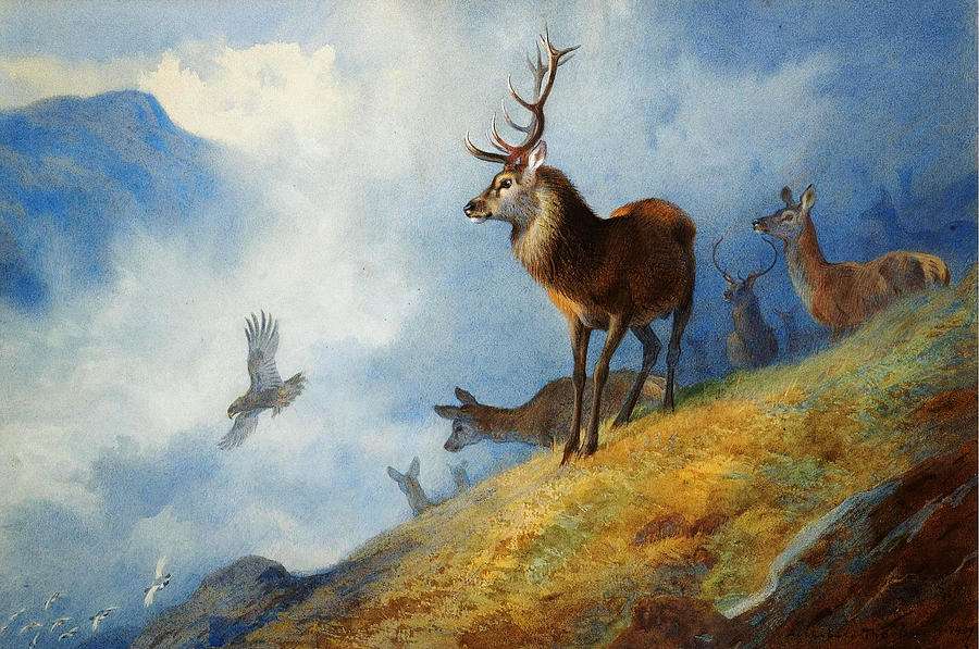 Red Deer Watching A Golden Eagle Hunt Painting by Celestial Images