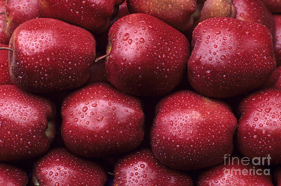 Red delicious apples Photograph by Jim Corwin