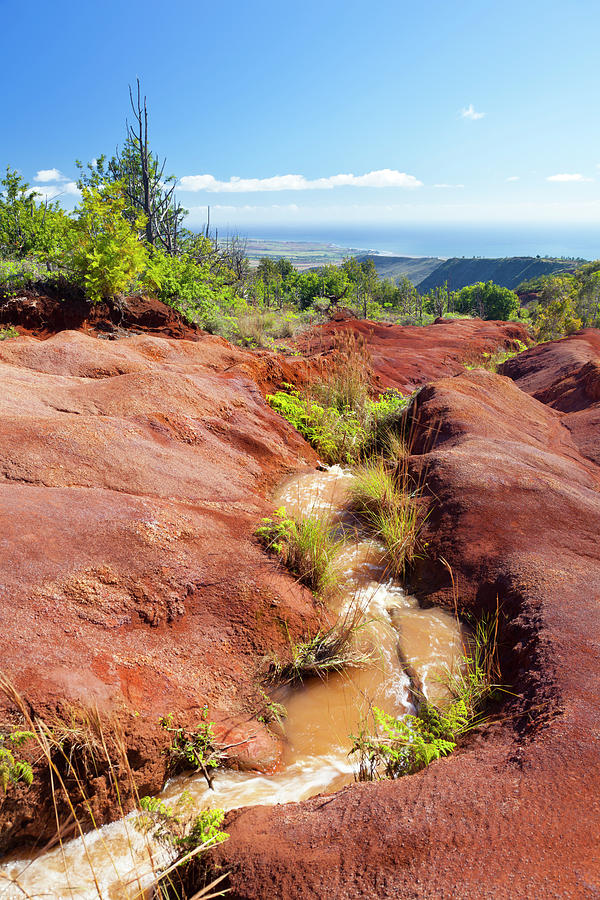 Nature Photograph - Red Dirt River, Kauai by Michaelutech