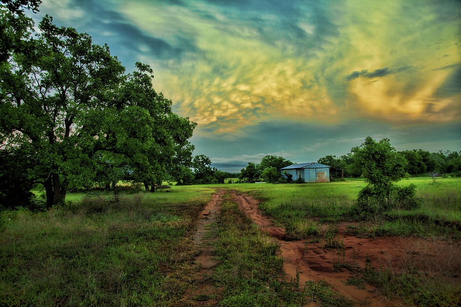 Tree Photograph - Red Dirt Road by Toni Hopper
