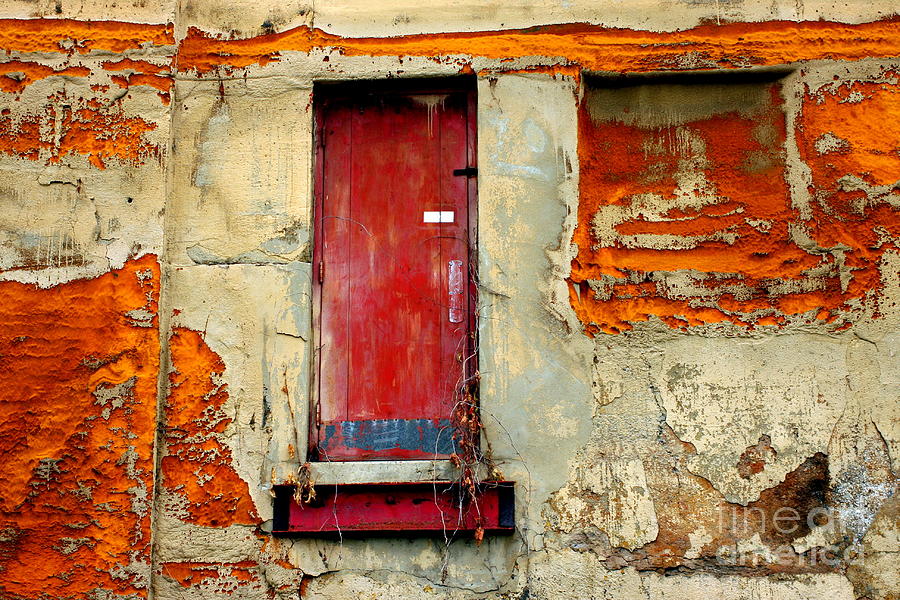 Red Door 2 Photograph by Marcia Lee Jones