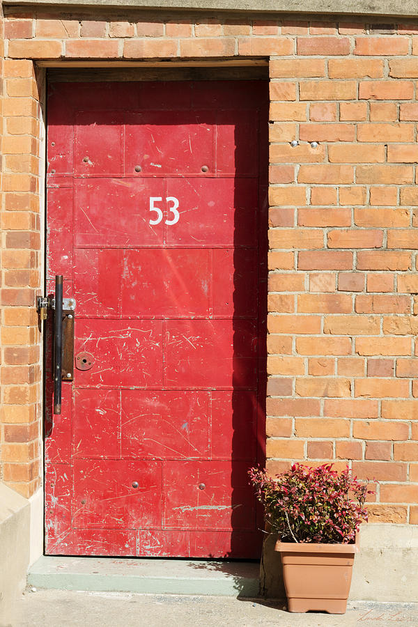 Red Door Photograph by Linda Lees