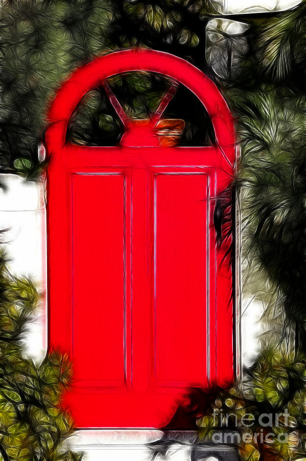Red Door Photograph by Mariola Bitner