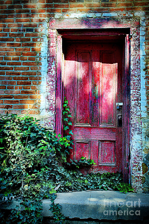 Red Door Photograph by Norma Warden