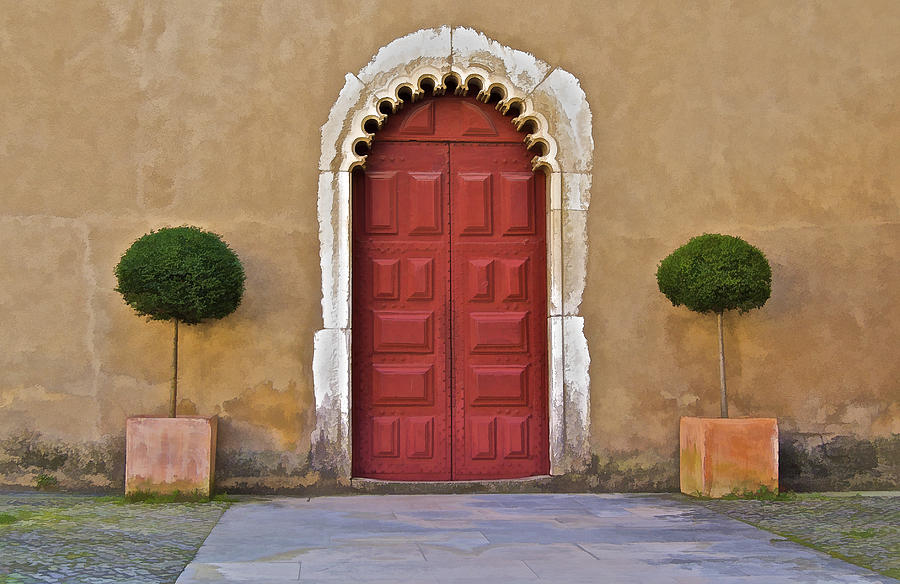 Red Door of Caldas de Rainha Photograph by David Letts