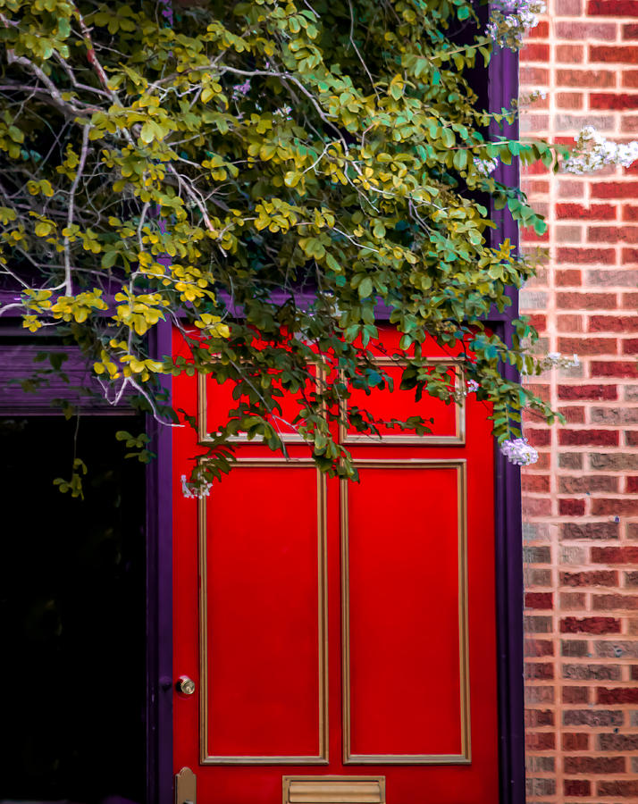 Red Door Photograph
