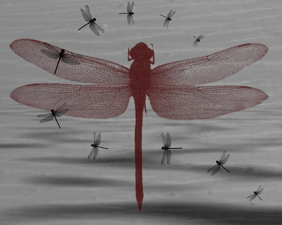 Red Dragonfly Digital Art by Teri Schuster