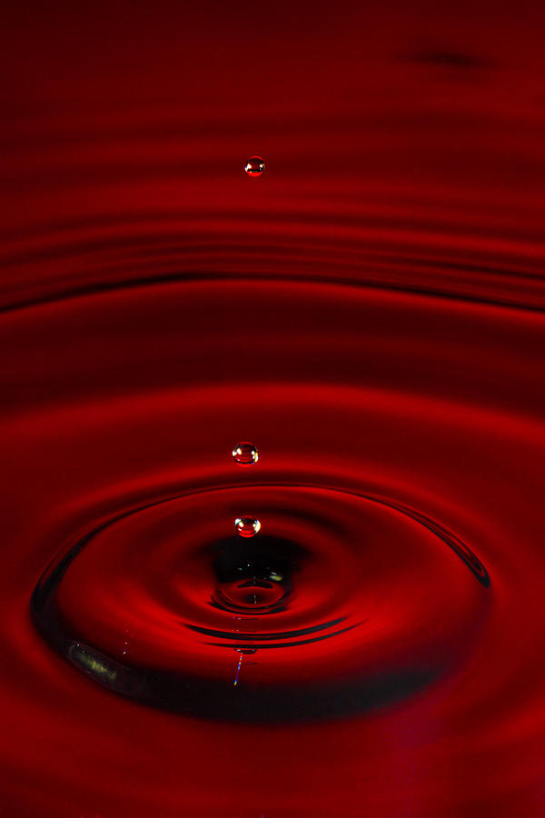 Red Drop Photograph by Agustin Uzarraga