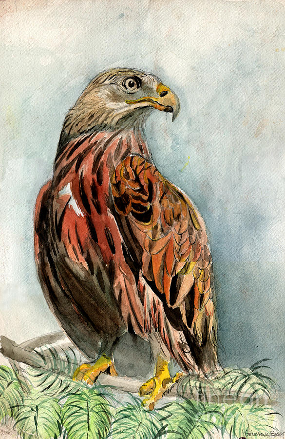 Red Eagle Painting by Genevieve Esson