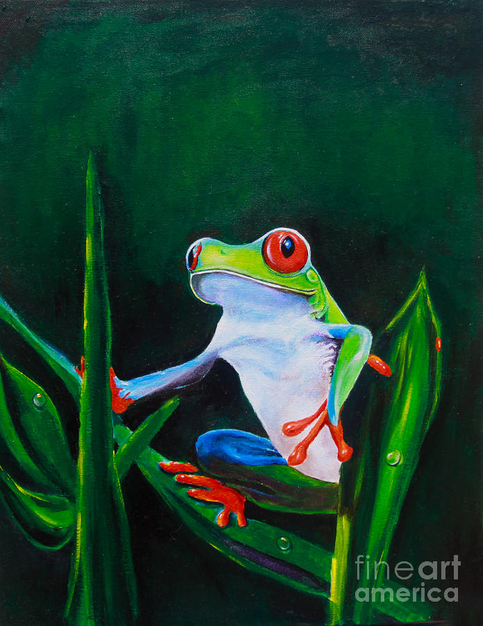 Red Eyed Frog Belize Painting By Paul Sandilands - Fine Art America