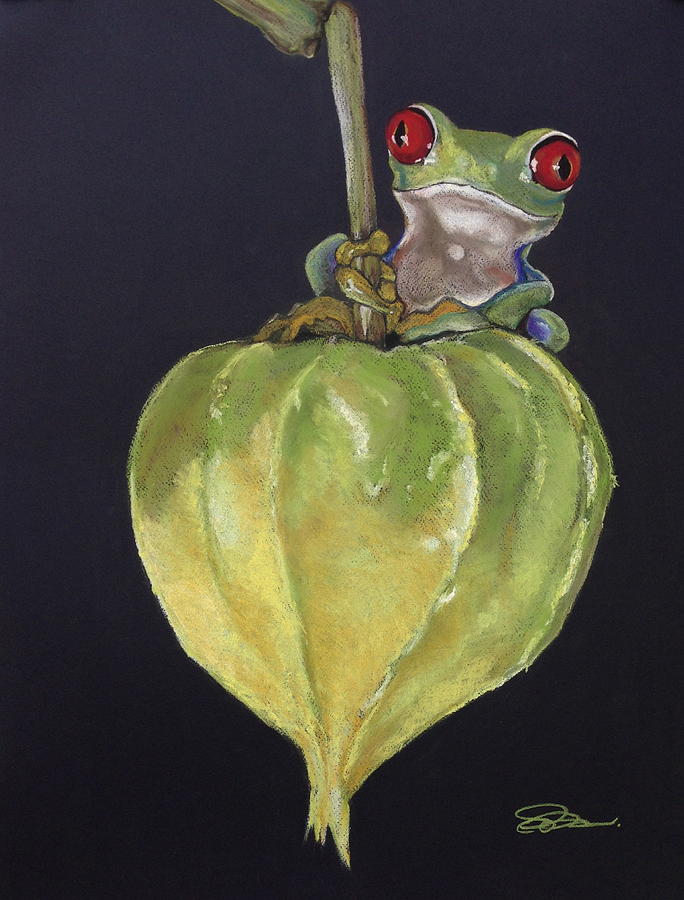 Rembrandt Drawing - Red-Eyed Tree Frog on Seed Pod by Cristel Mol-Dellepoort