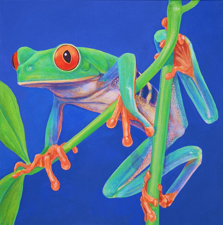 Red eyed treefrog Painting by Bonnie Golden - Fine Art America