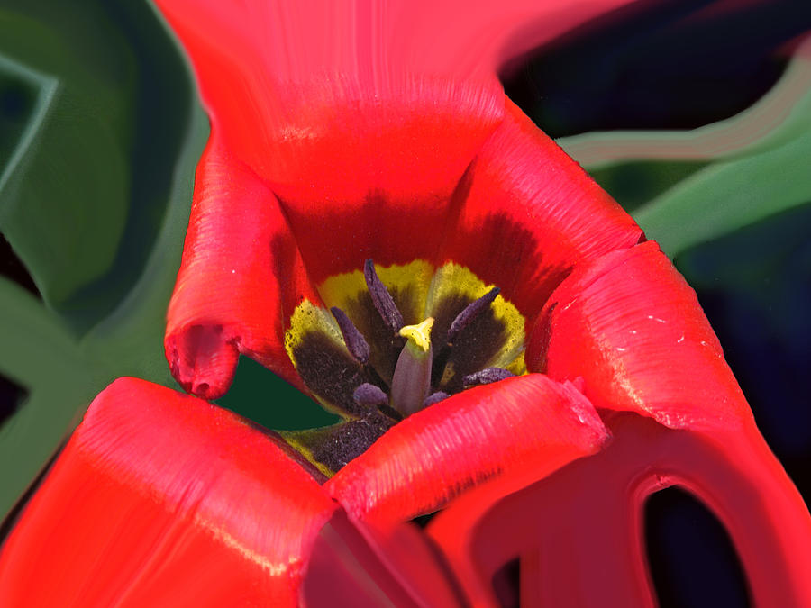 Red Fanatasy Flower Digital Art by Ian  MacDonald