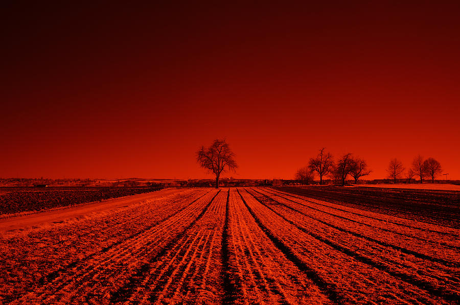 Red Farm Fields Photograph by Miguel Winterpacht
