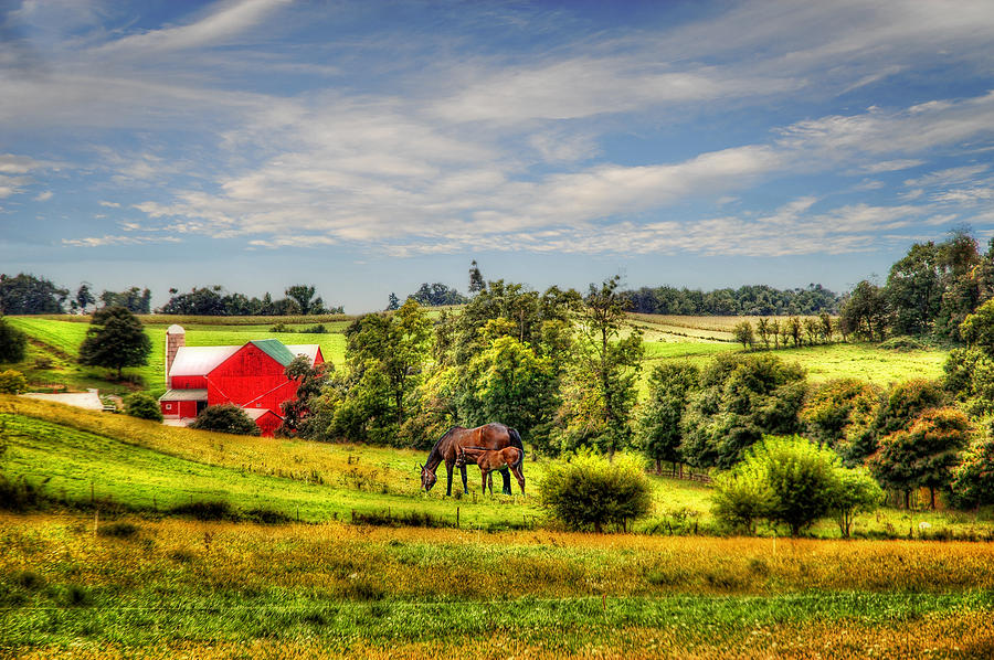 Red Farm Photograph by Mary Timman