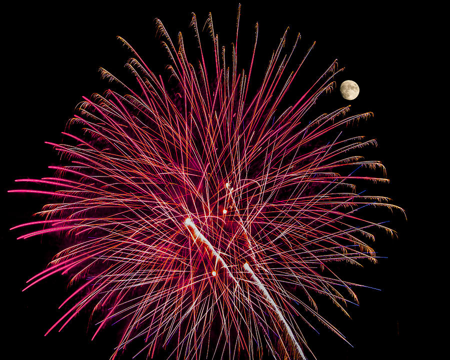 Red Featherduster - Fireworks and Moon Photograph by Penny Lisowski