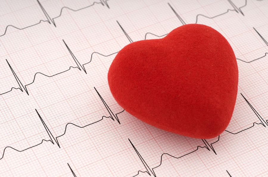 Red felt heart on ECG printout Photograph by Hamzaturkkol