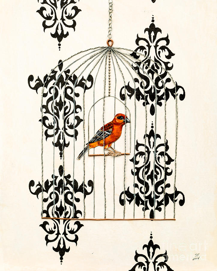 Red finch Painting by Stefanie Forck